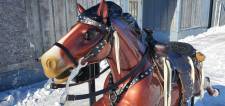 Champion Horse Kiddie Ride Restoration